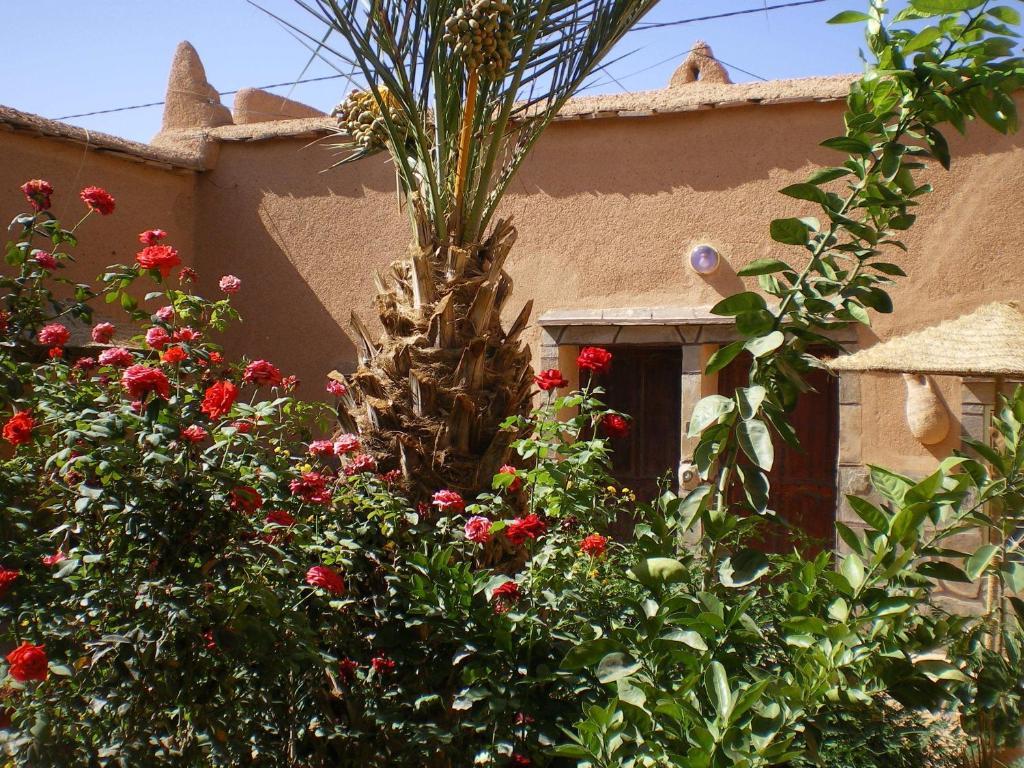 Maison D' Hotes Ait Hmid Nkob Buitenkant foto
