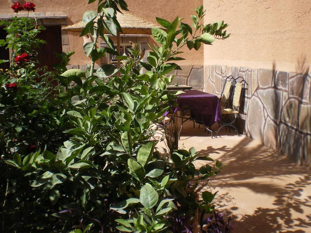 Maison D' Hotes Ait Hmid Nkob Buitenkant foto