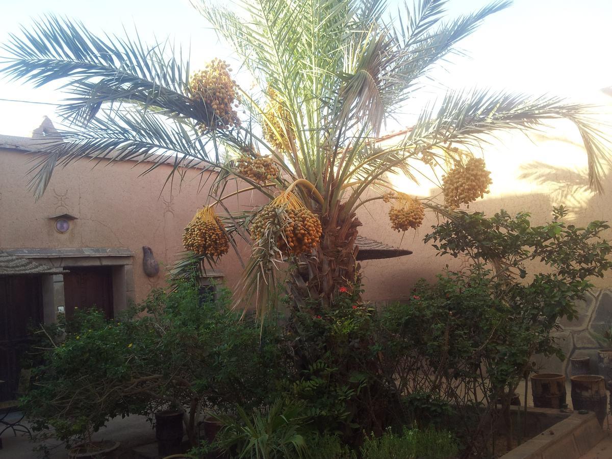 Maison D' Hotes Ait Hmid Nkob Buitenkant foto